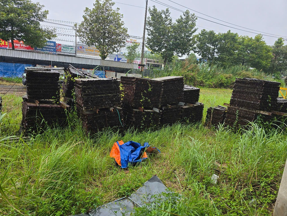 Cần Thơ sẽ sớm triển khai dự án Bệnh viện Ung bướu, tránh lãng phí- Ảnh 7. Cần Thơ sẽ sớm triển khai dự án Bệnh viện Ung bướu, tránh lãng phí- Ảnh 7.