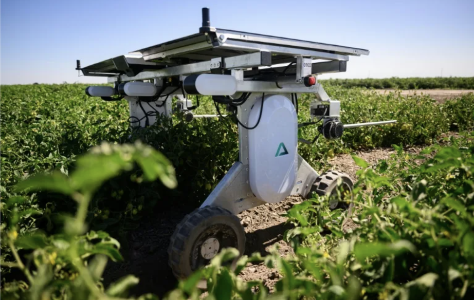 Robot AI thay thế người diệt cỏ và làm nông nghiệp- Ảnh 1. Robot AI thay thế người diệt cỏ và làm nông nghiệp- Ảnh 1.