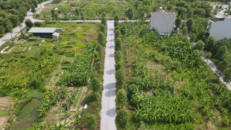 Gấp rút điều chỉnh quy hoạch đất sau sáp nhập- Ảnh 1. Gấp rút điều chỉnh quy hoạch đất sau sáp nhập- Ảnh 1.
