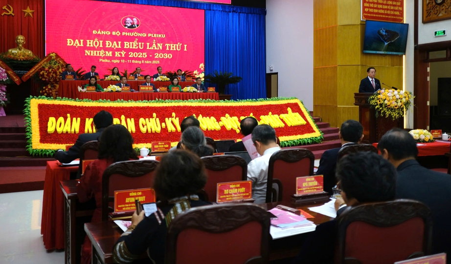 Đưa Pleiku trở thành điểm đến xanh - văn minh - giàu bản sắc- Ảnh 2. Đưa Pleiku trở thành điểm đến xanh - văn minh - giàu bản sắc- Ảnh 2.