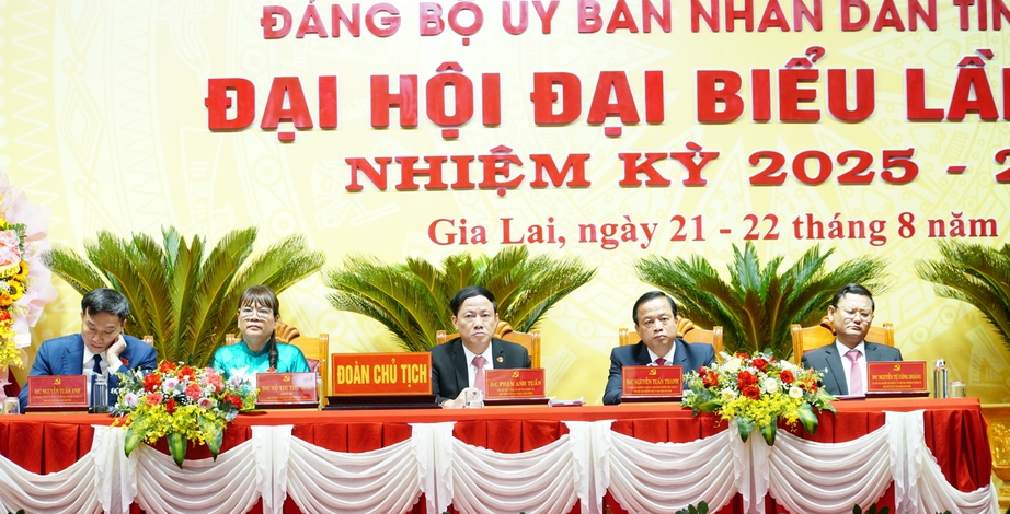 Bí thư Hồ Quốc Dũng: “Gia Lai phải tăng trưởng không thấp hơn bình quân chung của cả nước"- Ảnh 3.