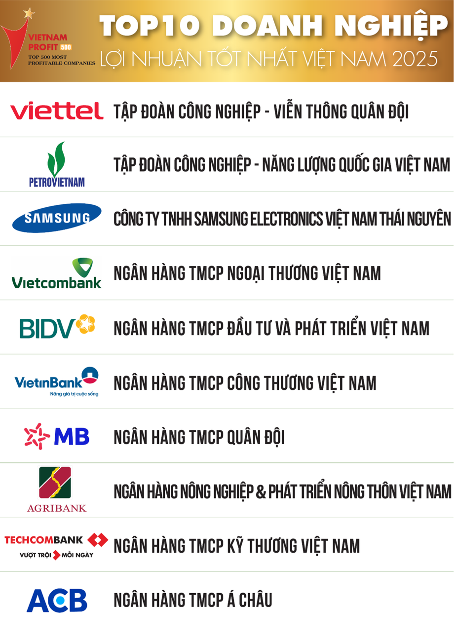Thấy gì qua Top 500 doanh nghiệp lợi nhuận tốt nhất Việt Nam năm 2025?- Ảnh 1.