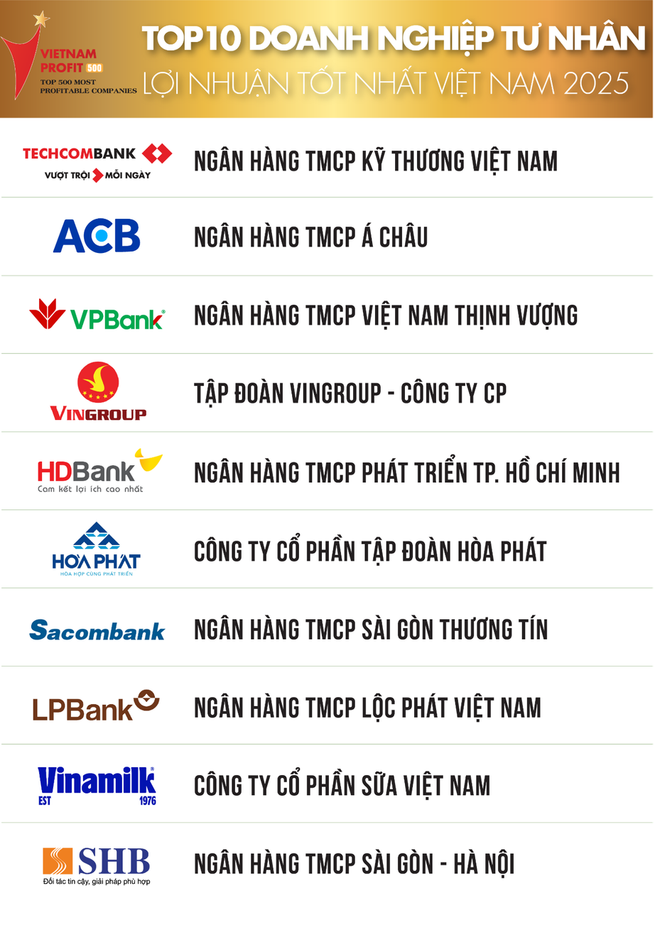Thấy gì qua Top 500 doanh nghiệp lợi nhuận tốt nhất Việt Nam năm 2025?- Ảnh 2.