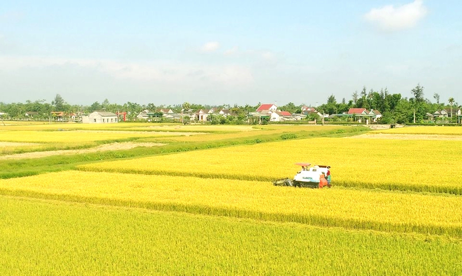 Bộ ti&ecirc;u ch&iacute; mới mở đường x&acirc;y dựng n&ocirc;ng th&ocirc;n mới ở H&agrave; Tĩnh- Ảnh 1.