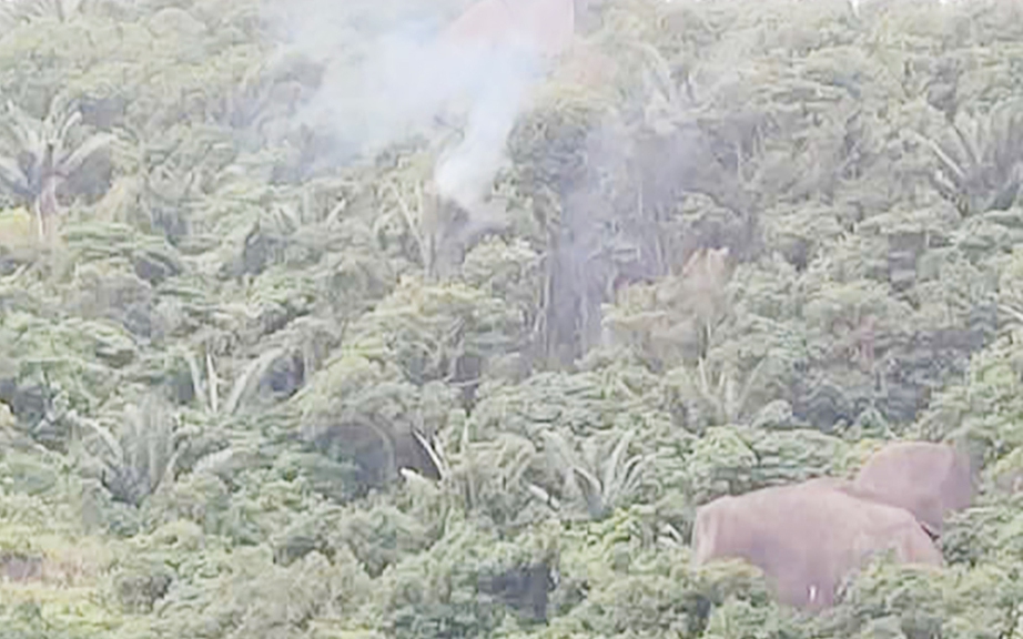 Bộ Quốc ph&ograve;ng th&ocirc;ng tin về sự cố m&aacute;y bay qu&acirc;n sự rơi tại Đắk Lắk- Ảnh 1.