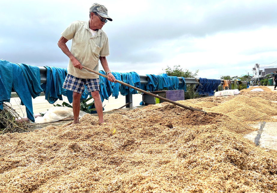 Bộ N&ocirc;ng nghiệp v&agrave; M&ocirc;i trường đẩy mạnh ph&aacute;t triển bảo hiểm n&ocirc;ng nghiệp- Ảnh 1.