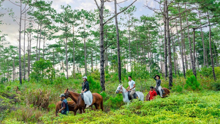 Lên Măng Đen cưỡi ngựa đón năm mới Bính Ngọ giữa cao nguyên mờ sương - Ảnh 5. Lên Măng Đen cưỡi ngựa đón năm mới Bính Ngọ giữa cao nguyên mờ sương - Ảnh 5.