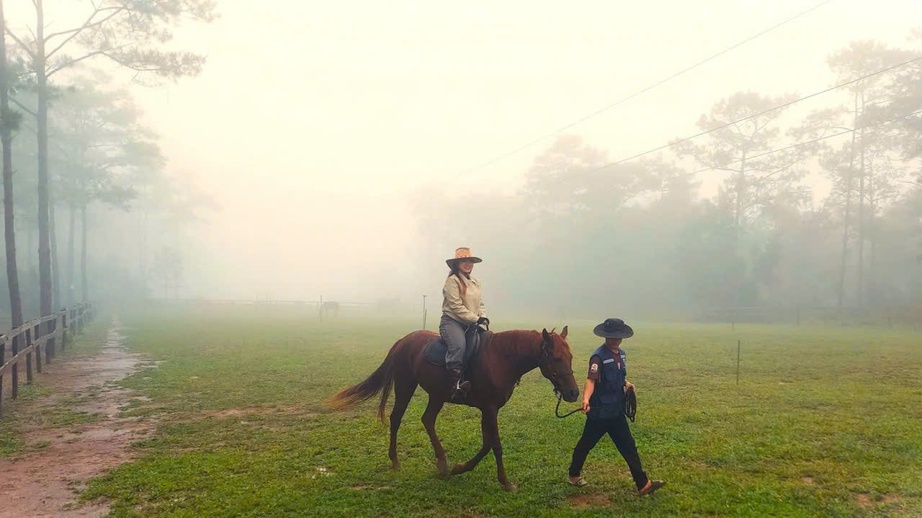Lên Măng Đen cưỡi ngựa đón năm mới Bính Ngọ giữa cao nguyên mờ sương - Ảnh 3. Lên Măng Đen cưỡi ngựa đón năm mới Bính Ngọ giữa cao nguyên mờ sương - Ảnh 3.
