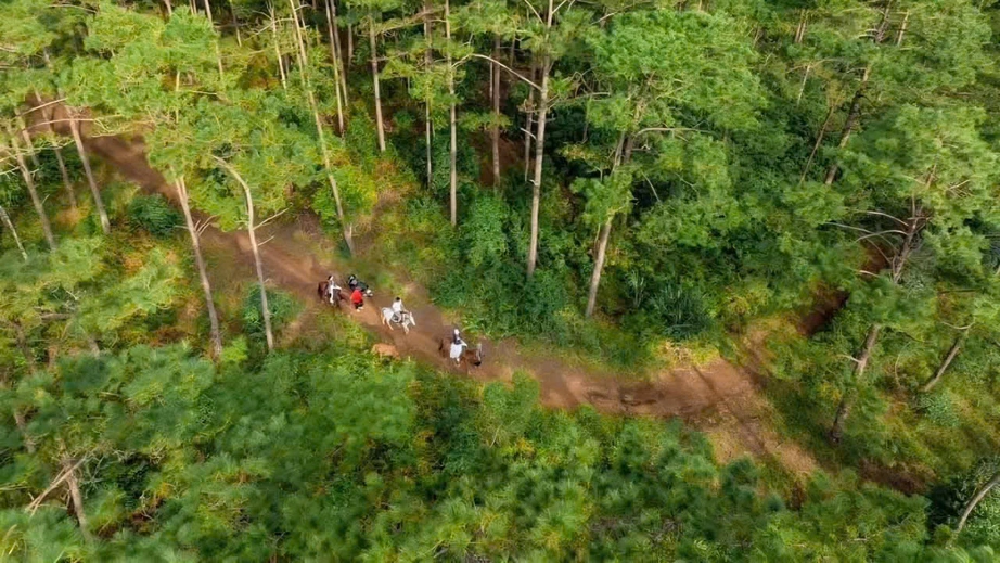 Lên Măng Đen cưỡi ngựa đón năm mới Bính Ngọ giữa cao nguyên mờ sương - Ảnh 6. Lên Măng Đen cưỡi ngựa đón năm mới Bính Ngọ giữa cao nguyên mờ sương - Ảnh 6.