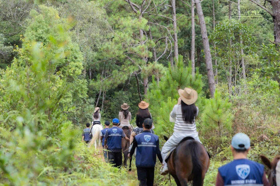 Lên Măng Đen cưỡi ngựa đón năm mới Bính Ngọ giữa cao nguyên mờ sương - Ảnh 7. Lên Măng Đen cưỡi ngựa đón năm mới Bính Ngọ giữa cao nguyên mờ sương - Ảnh 7.