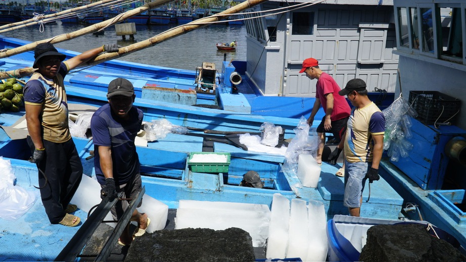 Gia Lai: T&agrave;u thuyền hối hả vươn khơi b&aacute;m biển đầu xu&acirc;n- Ảnh 2.