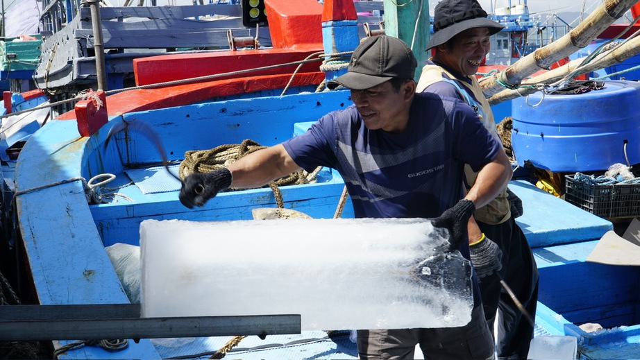 Gia Lai: T&agrave;u thuyền hối hả vươn khơi b&aacute;m biển đầu xu&acirc;n- Ảnh 3.