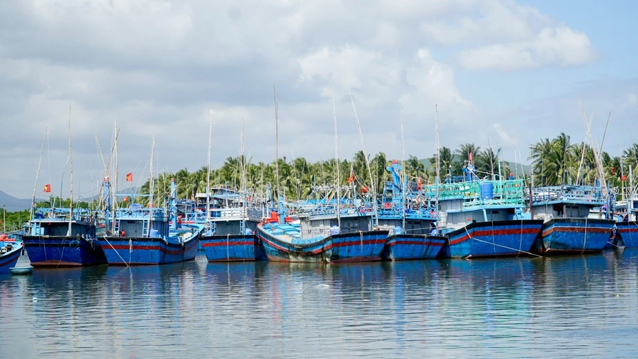 Gia Lai: T&agrave;u thuyền hối hả vươn khơi b&aacute;m biển đầu xu&acirc;n- Ảnh 1.