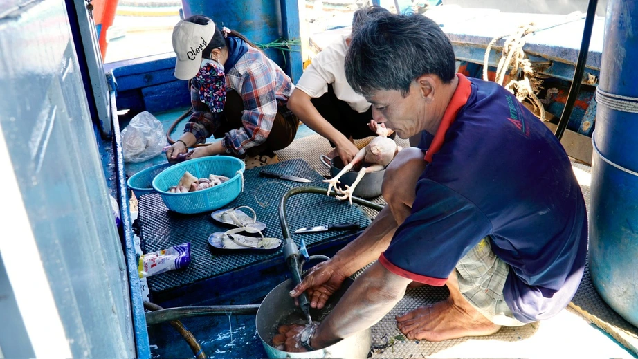 Gia Lai: T&agrave;u thuyền hối hả vươn khơi b&aacute;m biển đầu xu&acirc;n- Ảnh 5.