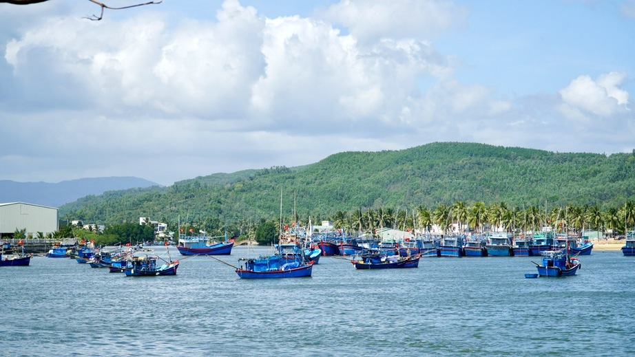Gia Lai: T&agrave;u thuyền hối hả vươn khơi b&aacute;m biển đầu xu&acirc;n- Ảnh 6.