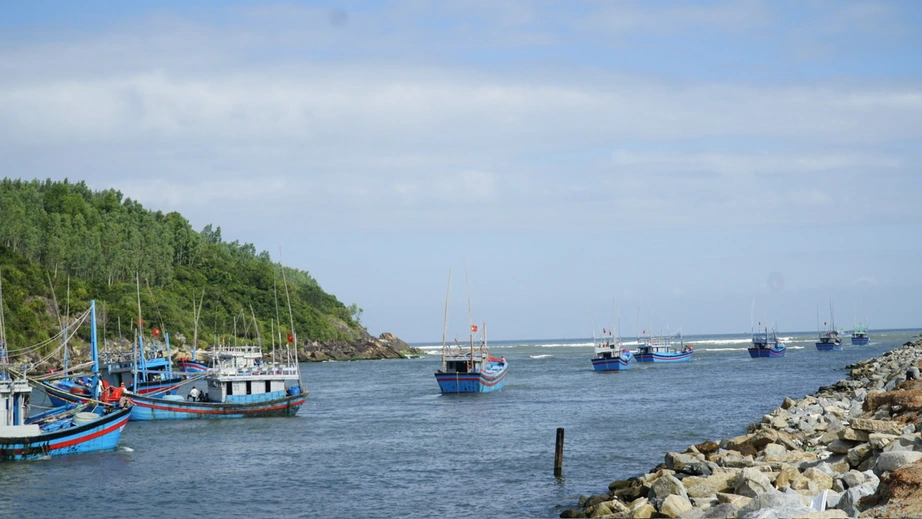 Gia Lai: T&agrave;u thuyền hối hả vươn khơi b&aacute;m biển đầu xu&acirc;n- Ảnh 9.