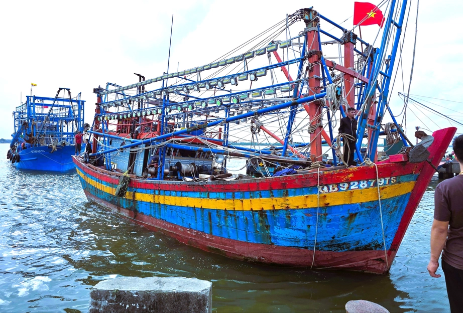 Ngư dân Quảng Trị vươn khơi, khoang tàu đầy ắp “lộc” biển đầu năm- Ảnh 9. Ngư dân Quảng Trị vươn khơi, khoang tàu đầy ắp “lộc” biển đầu năm- Ảnh 9.