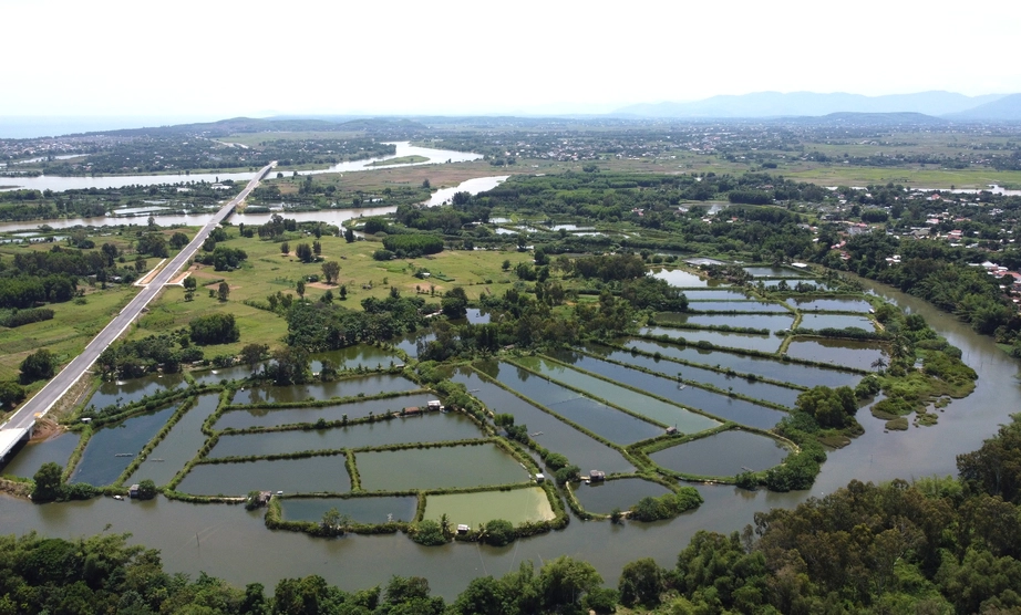 Quảng Ngãi giao thêm 380.000m2 đất cho doanh nghiệp làm dự án bất động sản- Ảnh 1. Quảng Ngãi giao thêm 380.000m2 đất cho doanh nghiệp làm dự án bất động sản- Ảnh 1.