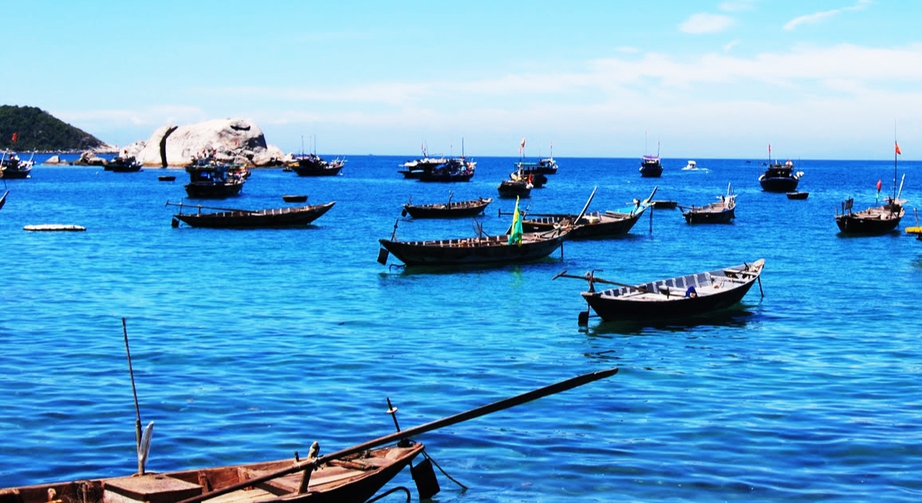 Cần Thơ thực hiện dự án gần 1.000 tỷ đồng nâng cấp hạ tầng cho ngành thủy sản- Ảnh 3. Cần Thơ thực hiện dự án gần 1.000 tỷ đồng nâng cấp hạ tầng cho ngành thủy sản- Ảnh 3.