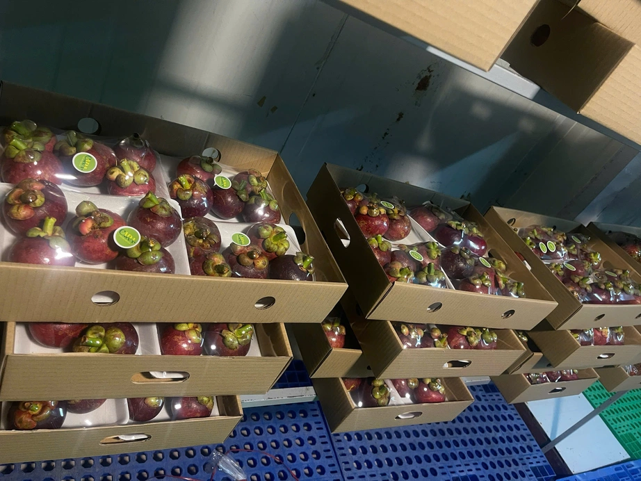 Doanh nghiệp xuất khẩu xoay chuyển "bắt" cơ hội trong biến động khu vực Trung Đ&ocirc;ng- Ảnh 1.