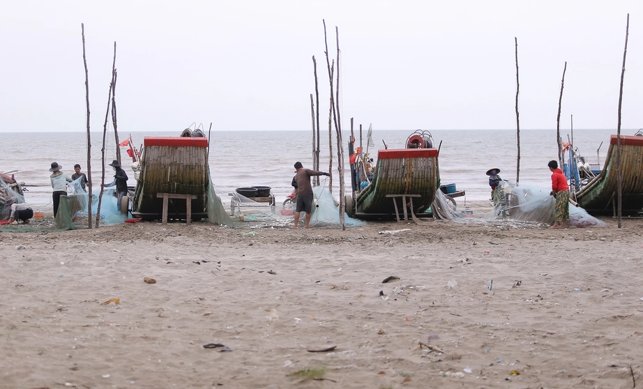 Ngư d&acirc;n Nghệ An phấn khởi v&igrave; tr&uacute;ng đậm m&ugrave;a c&aacute; tr&iacute;ch- Ảnh 2.