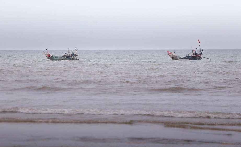 Ngư d&acirc;n Nghệ An phấn khởi v&igrave; tr&uacute;ng đậm m&ugrave;a c&aacute; tr&iacute;ch- Ảnh 6.