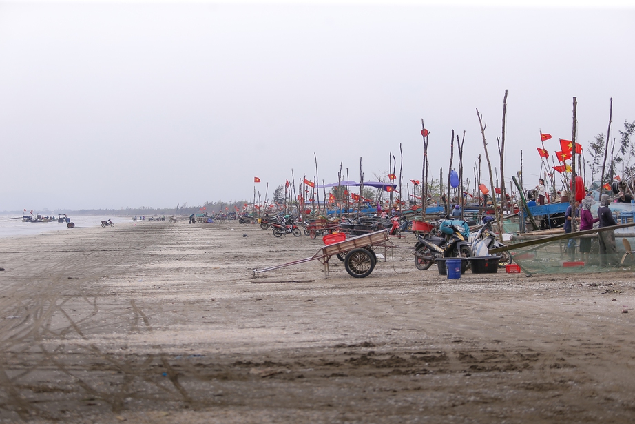 Ngư d&acirc;n Nghệ An phấn khởi v&igrave; tr&uacute;ng đậm m&ugrave;a c&aacute; tr&iacute;ch- Ảnh 1.