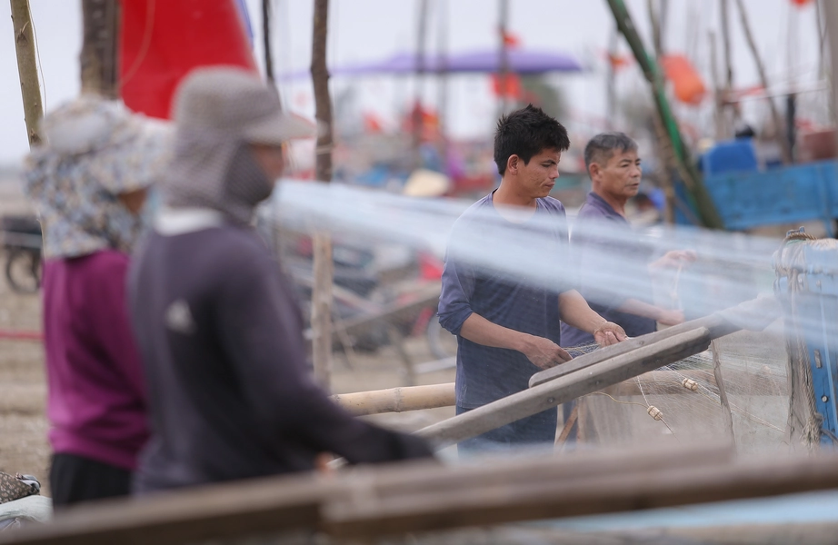 Ngư d&acirc;n Nghệ An phấn khởi v&igrave; tr&uacute;ng đậm m&ugrave;a c&aacute; tr&iacute;ch- Ảnh 13.