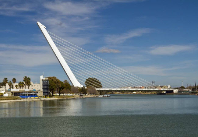 Cầu Puente del Alamillo, Tây Ban Nha: Cây cầu có hình dạng giống một cây đàn hạc khổng lồ. Công trình được giữ vững bởi 13 cụm dây cáp và một trụ nghiêng với góc 58 độ.