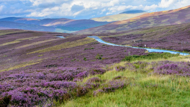 Cairngorms, Scotland: Vườn quốc gia Cairngorms được đánh giá là một trong những địa điểm có phong cảnh thiên nhiên nguyên sơ nhất ở Anh quốc.