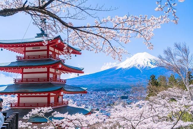 6. Công viên Arakurayama Sengen / Yamanashi
Đây là một trong những điểm ngắm hoa anh đào đẹp nhất ở Yamanashi, vào mùa xuân, bạn có thể ngắm hoa anh đào, núi Phú Sĩ và chùa 5 tầng cùng nhau, tạo nên một khung cảnh tuyệt đẹp chỉ có ở Nhật Bản.