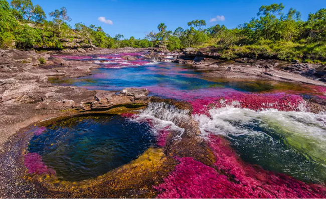 Caño Cristales ở Colombia: Là một trong những kỳ quan sinh học hấp dẫn nhất của Colombia, Caño Cristales nổi tiếng với nhiều tên gọi như “dòng sông ngũ sắc” hay “dòng sông đẹp nhất thế giới”.