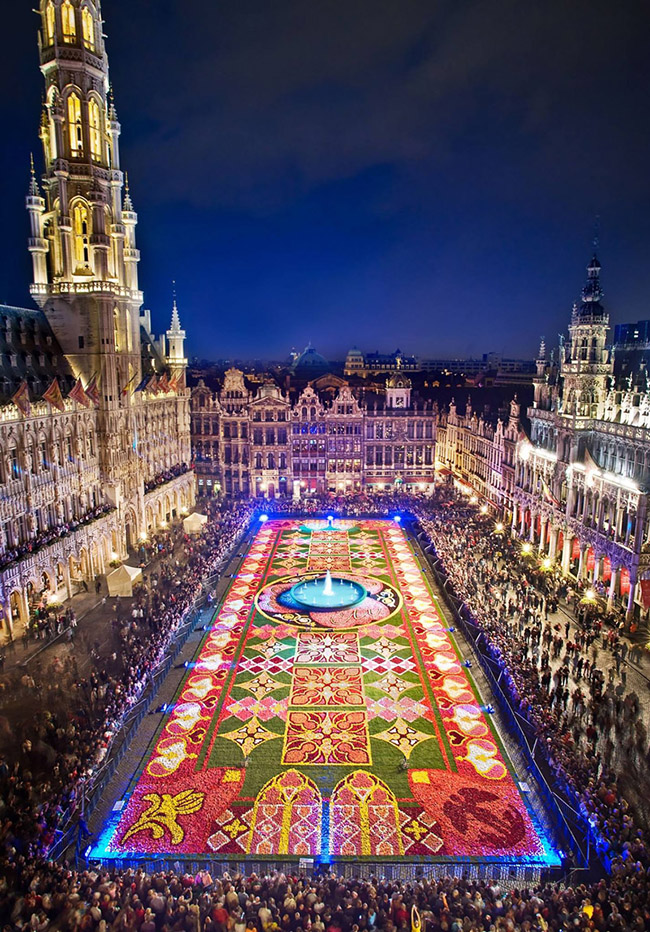 Thảm hoa, Brussels, Bỉ: Không có thời điểm nào đến thăm Brussels tuyệt hơn dịp lễ hội thảm hoa, khi gần một triệu cây thu hải đường có màu sắc rực rỡ bao phủ khắp quảng trường Grand xinh đẹp.