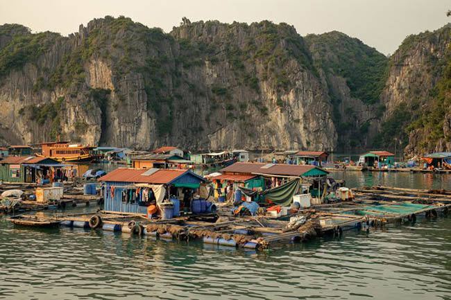 11. Dima cho rằng, Việt Nam là một nơi mà tất cả mọi người đều có thể ghé đến du lịch. Ngay cả một khách du lịch thiếu kinh nghiệm với ngân sách ít cũng có thể khám phá nơi này. Có rất nhiều nơi lưu trú giá cả phải chăng ở Việt Nam và thức ăn đường phố cũng không đắt.