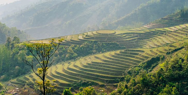 12. Dima đã dành vài ngày ở ngôi làng trên núi cao của Sapa, ngạc nhiên khi thấy người dân trồng lúa trên các cánh đồng ruộng bậc thang trên núi. Và cũng tại đây, anh đã gặp người Hmong.