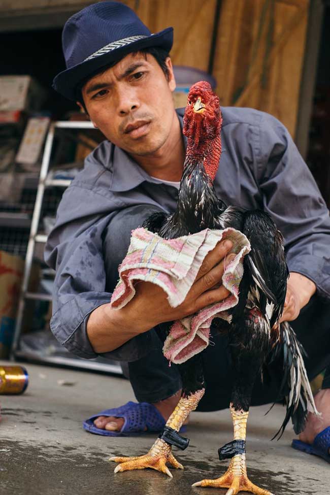 6. Giao tiếp với người dân địa phương rất khó khăn đối với Dima. Anh thường nhìn vào sắc mặt của người Việt Nam để có thể hiểu được thái độ của mọi người đối với mình.