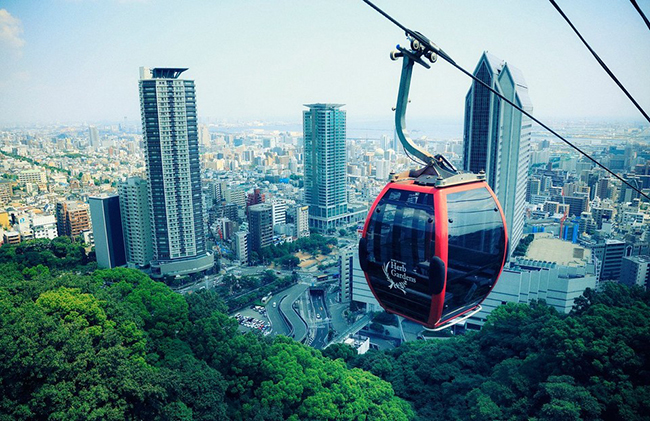 Shin-Kobe Ropeway là 1 trong 3 dịch vụ cáp treo ở Kobe đưa du khách lên sườn phía nam của dãy núi Rokko. Lên cao hơn một chút, cáp treo sẽ băng qua thác Nunobiki và vườn thảo mộc Nunobiki Kobe, mang đến cho du khách một khung cảnh thiên nhiên tuyệt vời từ trên cao.