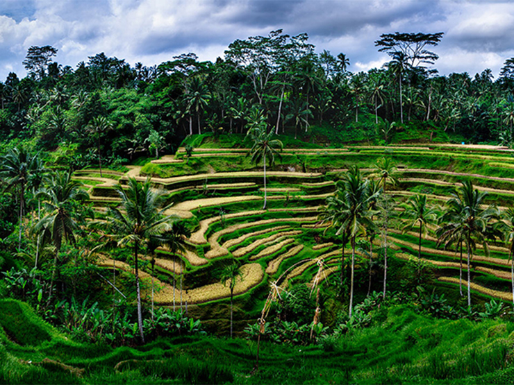 5. Nếu bạn không thuê xe máy thì có thể đi taxi với giá 200.000 IDR (320.000 đồng) cho 2 chiều. Trong trường hợp này, bạn nên chắc chắn rằng mình đồng ý về giá cước trước khi leo lên xe.