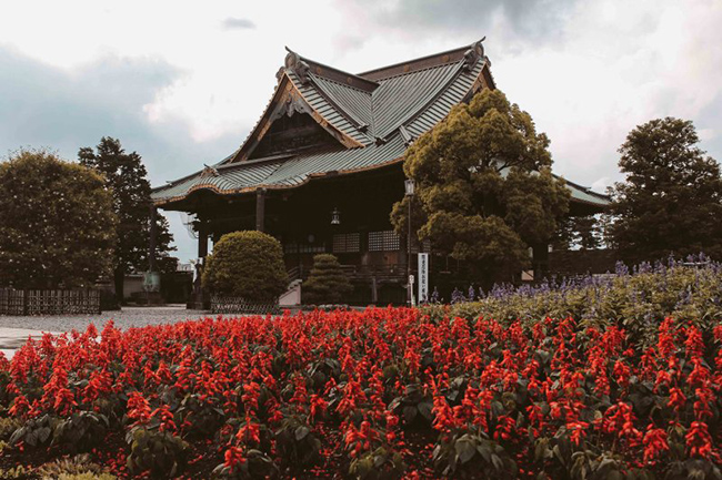 Narita là một thành phố thuộc tỉnh Chiba, Nhật Bản. Mùa hè ở Narita rất đẹp với những sắc hoa nở bung rực rỡ. Nếu đã đến Narita bạn nhất định phải ghé thăm đền Naritasan Shinshoji.