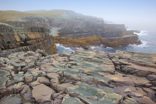 Mistaken Point, Canada: Những vách đá gồ ghề trên biển này được đặt tên theo lớp sương mù thường xuyên bao phủ bờ biển đá, che mắt các thủy thủ không nhìn thấy các mối nguy hiểm gần bờ. Bờ biển này cũng chứa một số tổ hợp hóa thạch lớn được biết đến lâu đời nhất trên thế giới, với một số có niên đại cách đây 560 triệu năm.