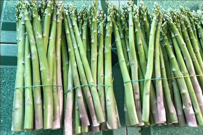 15. Măng tây: Theo một nghiên cứu cho thấy, chiết xuất từ măng tây nhiều hơn gấp 2 lần hiệu quả của một số enzyme giúp phá vỡ rượu và cũng bảo vệ các tế bào gan khỏi bị hư hại.