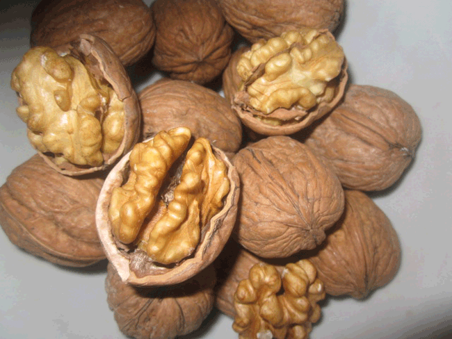 11. Quả óc chó có chứa nhiều axit béo omega-3. Một nghiên cứu đã chỉ ra, những người mắc bệnh gan nhiễm mỡ ăn quả óc chó thường xuyên có thể cải thiện chức năng gan.