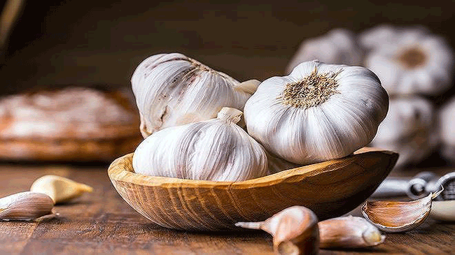13. Tỏi không chỉ thêm hương vị cho thực phẩm, mà các nghiên cứu thực nghiệm cũng cho thấy, bổ sung bột tỏi có thể giúp giảm trọng lượng cơ thể và chất béo ở những người mắc bệnh gan nhiễm mỡ.