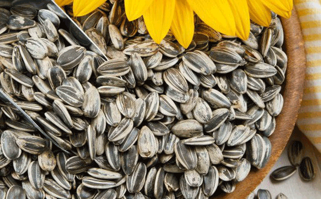 9. Hạt hướng dương: Loại hạt này chứa nhiều vitamin E, một chất chống oxy hóa có thể bảo vệ gan khỏi bị tổn thương.