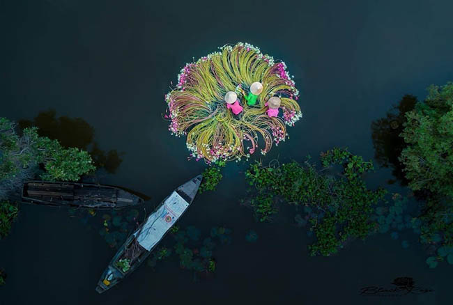 1. Hình ảnh những cô gái mặc áo bà ba đang rửa hoa ở chợ Tân An. Ảnh: Phan Khánh.