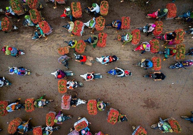 2. Người nông dân bán vải thiều, thu hoạch vào tháng 6 hàng năm. Ảnh: Tuấn Trần.