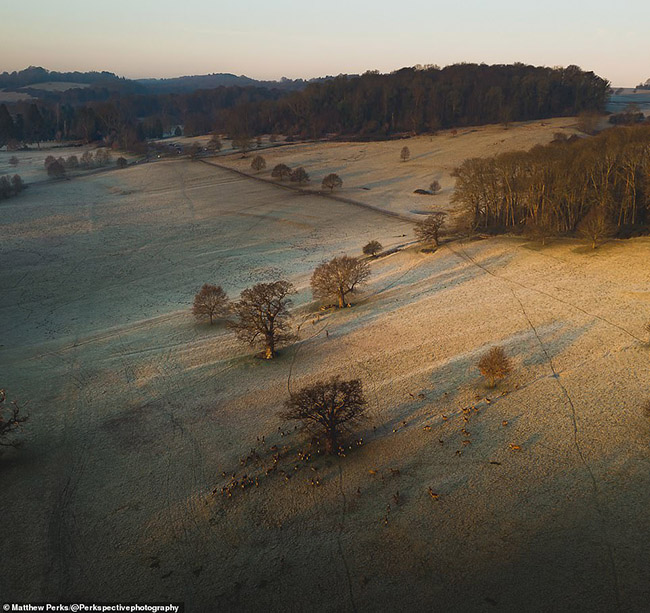 Một hình ảnh tuyệt đẹp từ trên không về Ashton Court Estate ở Bristol, được chụp vào một buổi sáng lạnh giá.