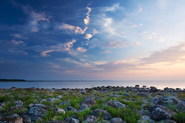 Bờ biển Baltic của Estonia: Estonia nhỏ bé và xinh đẹp với những vùng đất hoang vu, bờ biển trải dài tuyệt đẹp, các hòn đảo và công viên quốc gia có rừng dọc theo bờ biển Baltic. Với rất nhiều hoạt động ngoài trời thú vị, đây được cho là quốc gia có mức giá sinh hoạt rẻ nhất ở châu Âu.