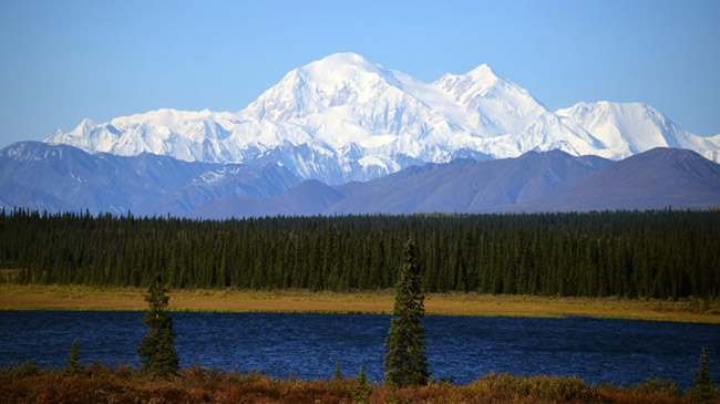 Vườn quốc gia Denali, Alaska: Là nơi có đỉnh cao nhất của Bắc Mỹ, công viên quốc gia Denali là một không gian hoang dã khổng lồ, ngôi nhà chung của hàng trăm con nai và gấu.