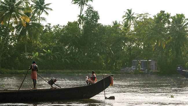 3.Kerala, Ấn Độ
Kerala là nơi mà du khách có thể trái nghiệm cảm giác lênh đênh trên những chiếc bè truyền thống, ngắm nhìn những hàng cọ thẳng thẳng tắp dọc 2 bên bờ.